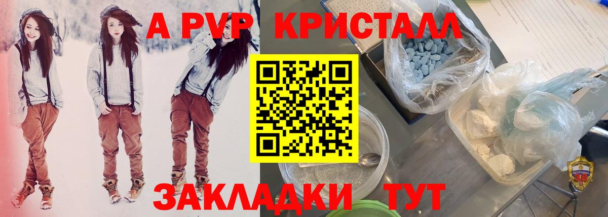 A PVP СК Костомукша