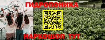 шишки Комсомольск-на-Амуре