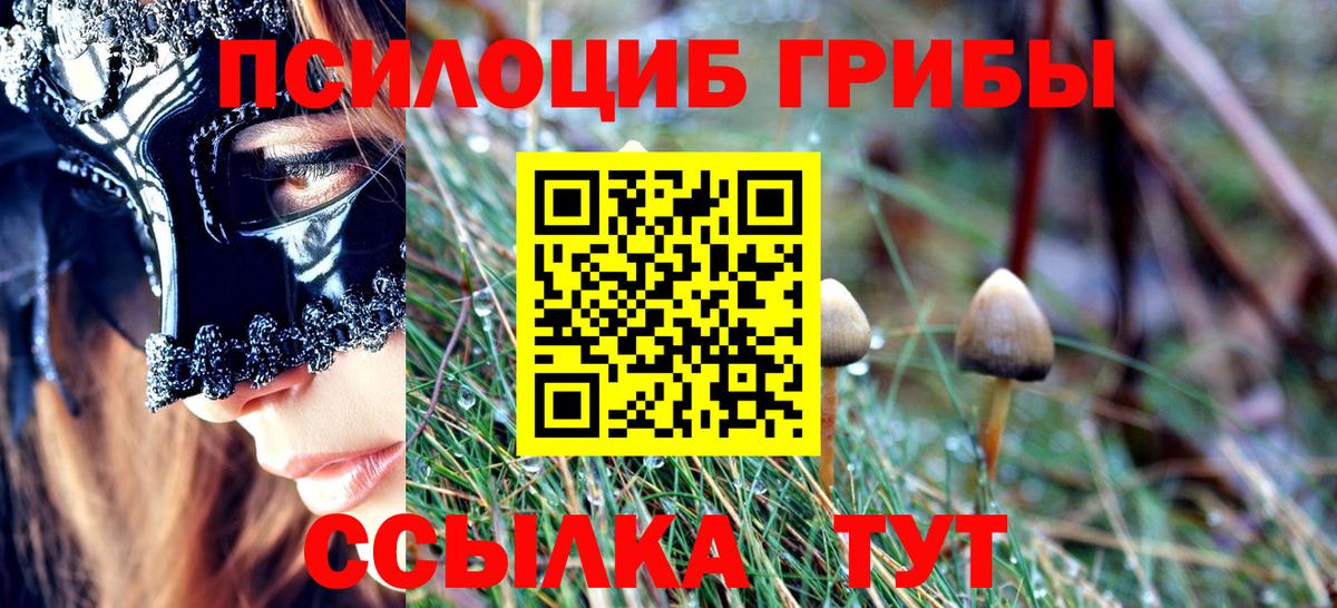 Галлюциногенные грибы прущие грибы Костомукша
