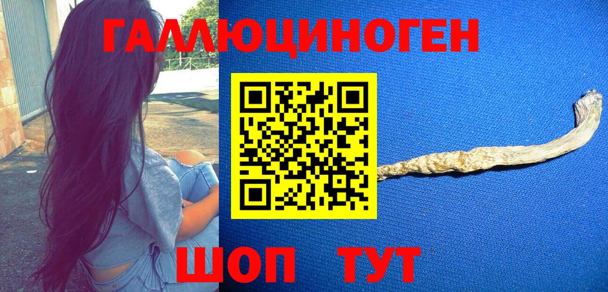 Костомукша  что такое наркотик  Вход с VPN  Галлюциногенные грибы GOLDEN TEACHER  Псилоцибиновые грибы ЛСД 